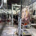 Hayrabolu’da Kaçak Kesime 105 Bin TL Ceza