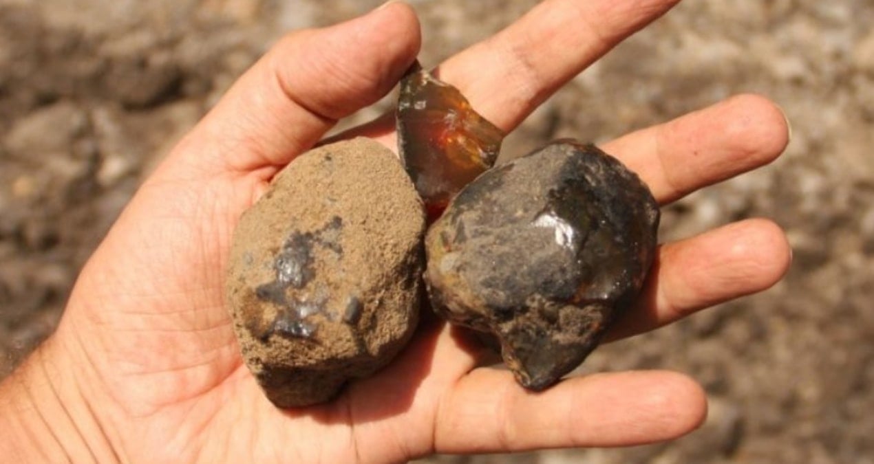 112 milyon yillik kehribarda buyuk bulus bir ilk oldu Uxxh7s3M