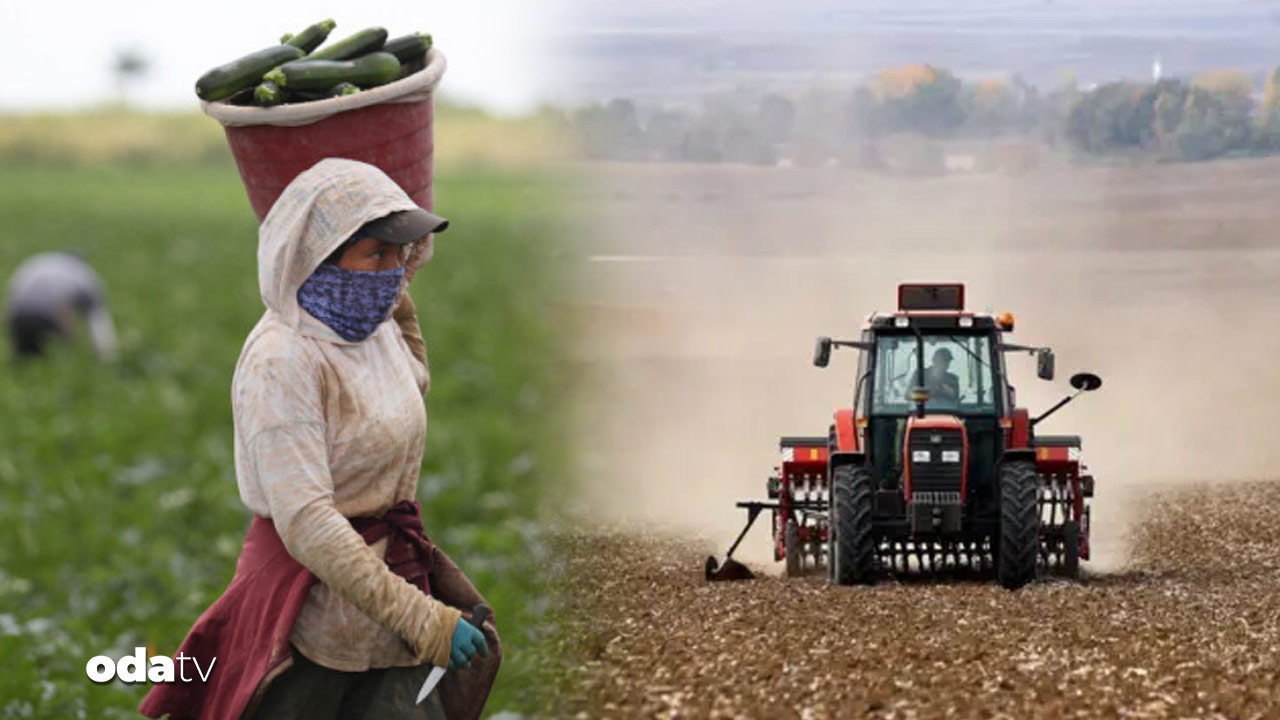 ciftcinin borcu 1 trilyonu asti hasat almadigi tarla traktor satista tY2UWDGB