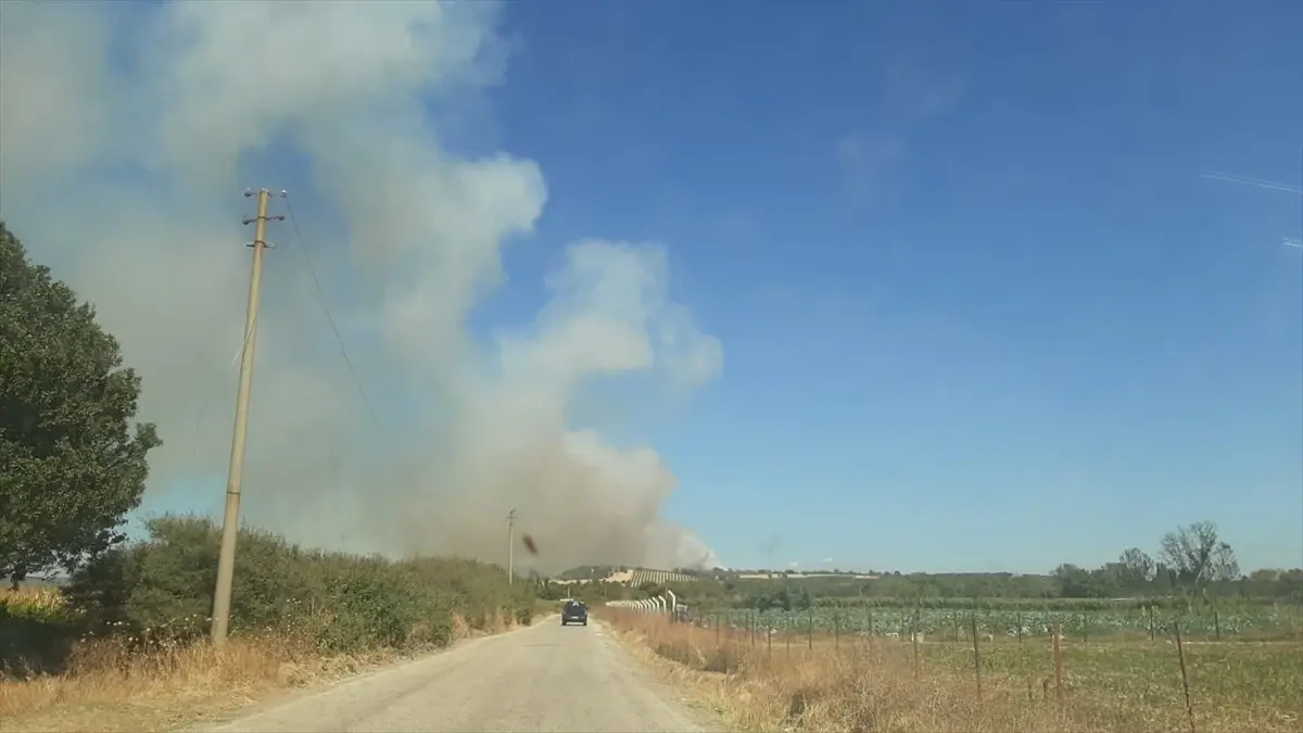 ezinede zeytinlikte yangin HQ5GvScF