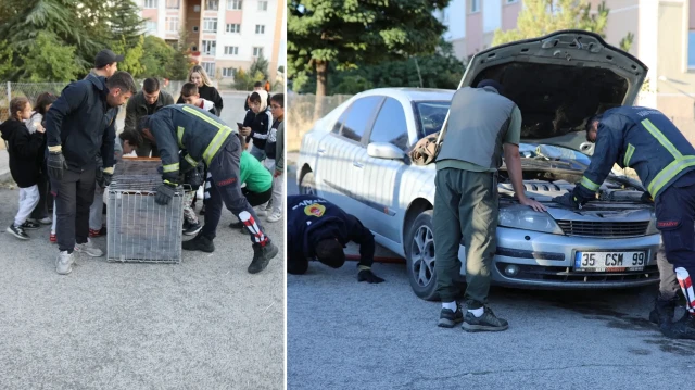 kopeklerden kacip otomobilin kaputuna sigindi Z33JuSxQ