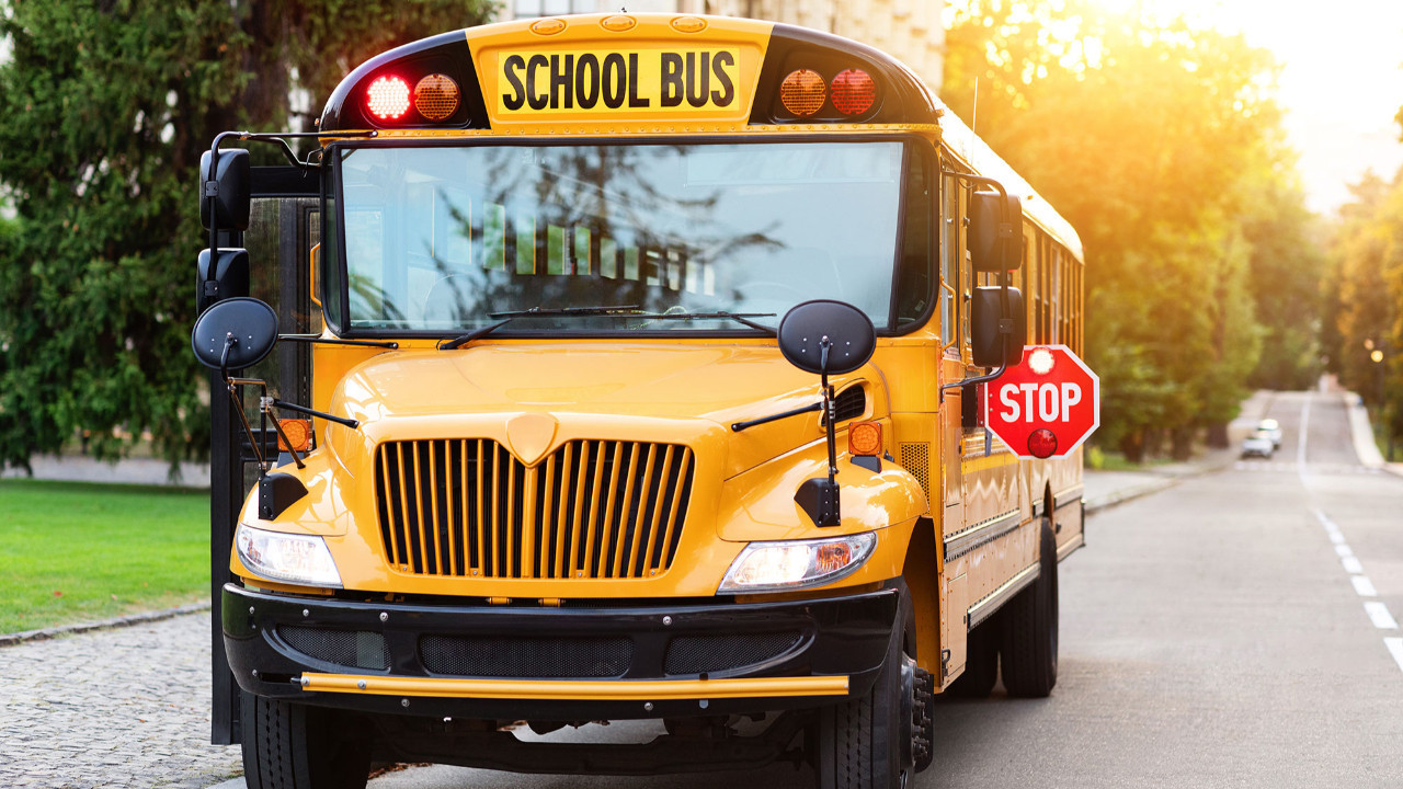 sari rengin ardindaki sir abddeki okul otobuslerinin hepsi neden sari eVvZLtMp