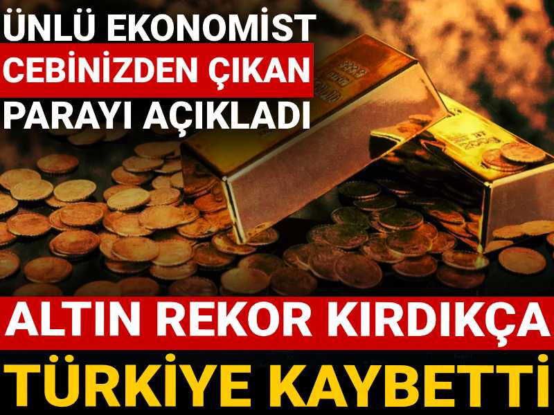 altin rekor kirdikca turkiye kaybetti unlu ekonomist cebinizden cikan parayi acikladi nHXGbaCa